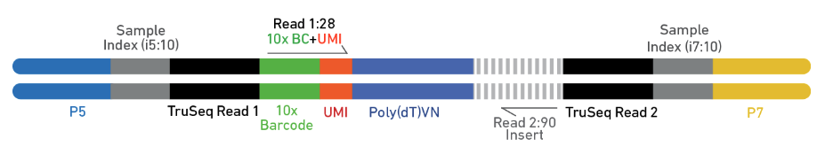 Figure 9. Chromium Single Cell Multiome Gene Expression library. (Source: 10x Genomics)